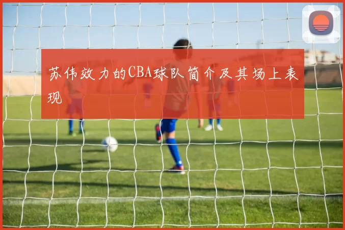 苏伟效力的CBA球队简介及其场上表现