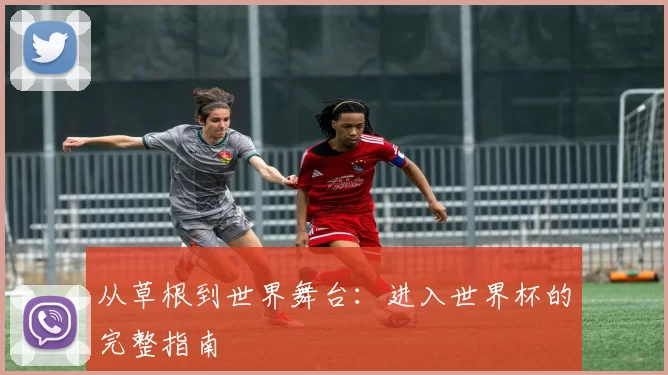 从草根到世界舞台：进入世界杯的完整指南