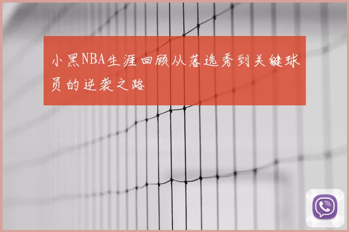 小黑NBA生涯回顾从落选秀到关键球员的逆袭之路