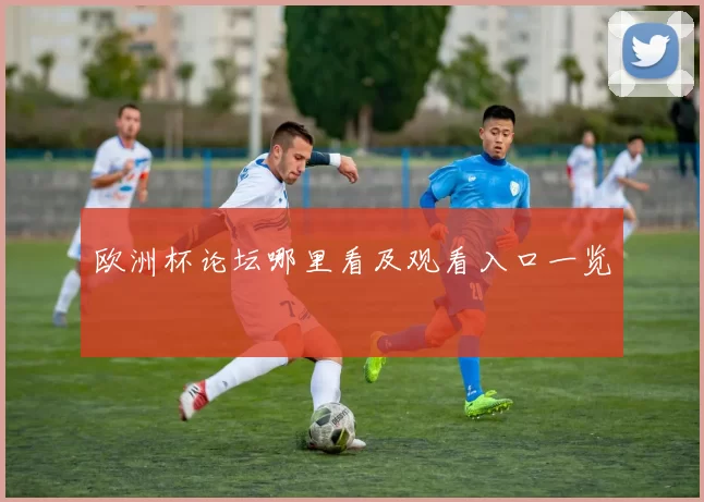 欧洲杯论坛哪里看及观看入口一览