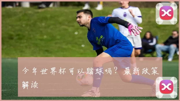 今年世界杯可以赌球吗?最新政策解读