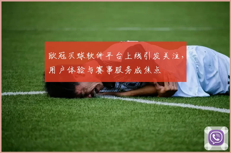 欧冠买球软件平台上线引发关注,用户体验与赛事服务成焦点