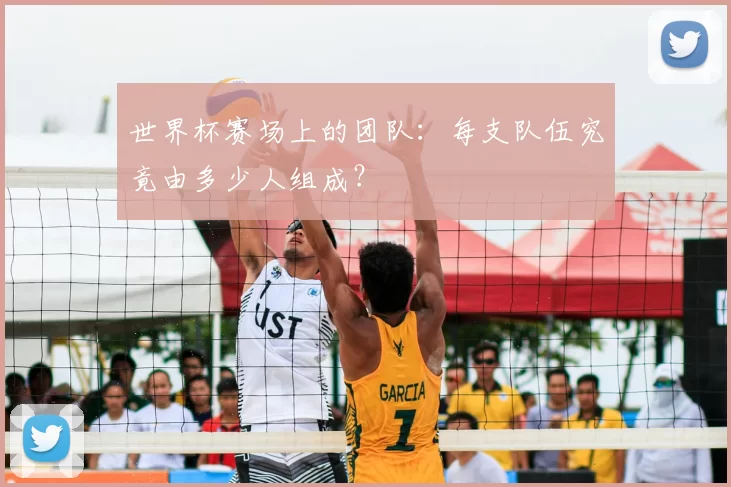 世界杯赛场上的团队：每支队伍究竟由多少人组成？