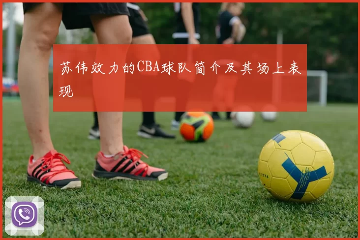 苏伟效力的CBA球队简介及其场上表现