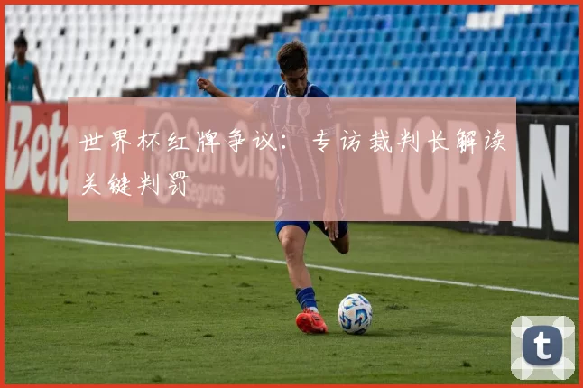 世界杯红牌争议：专访裁判长解读关键判罚